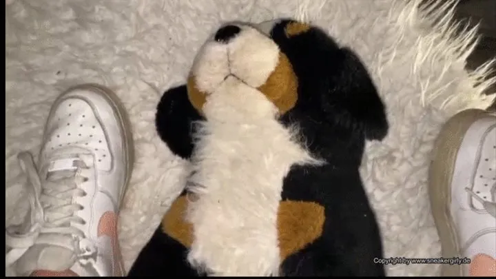 a soft toy must suffer under sweet dirty Nike Airfoce One