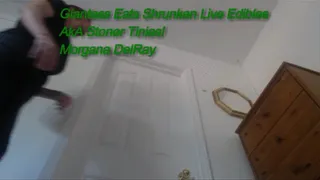 Giantess Eats Shrunken Live Edibles Small Size