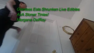 Giantess Eats Shrunken Live Edibles