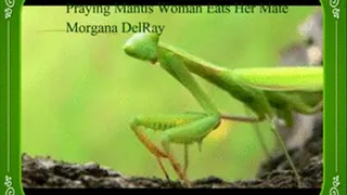 Praying Mantis Woman Eats Her Tiny Mate