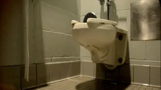 Public Toilet Potty Time