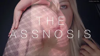 The Assnosis