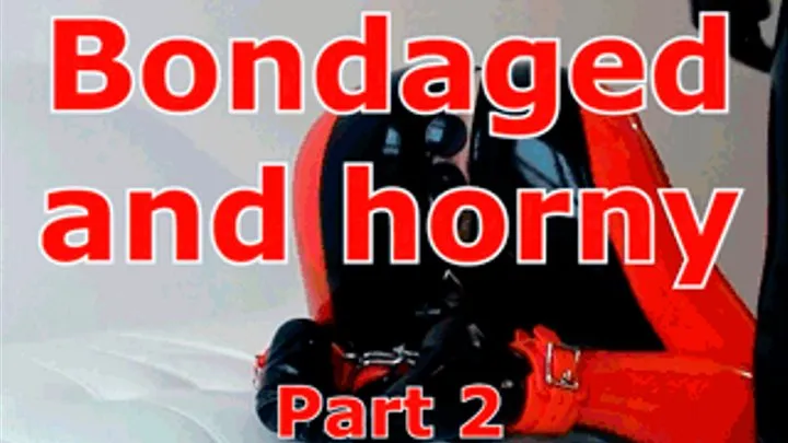Bondaged and horny (part 2)