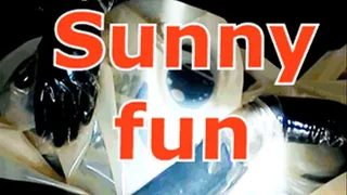 Sunny fun