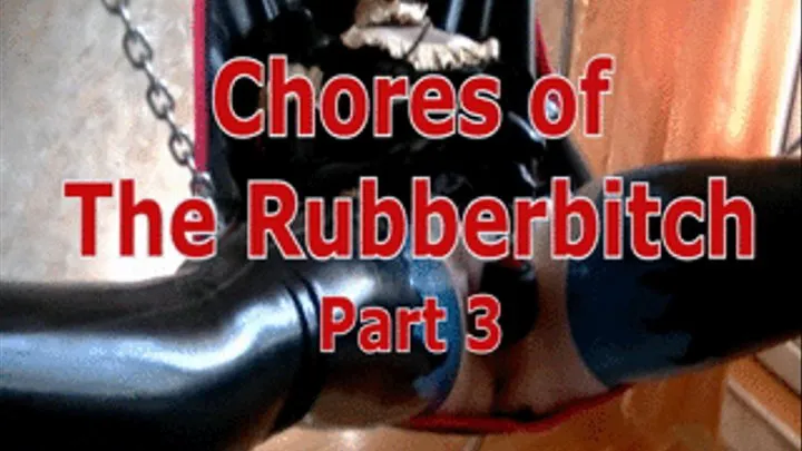 Chores of The Rubberbitch. Part 3.