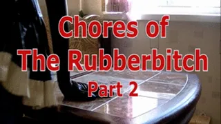 Chores of The Rubberbitch. Part 2.