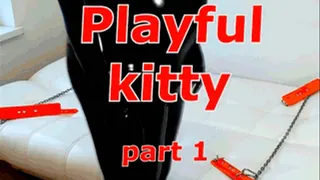 Playful kitty (part 1)