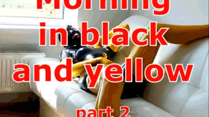 Morning in black and yellow. Part 2