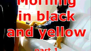 Morning in black and yellow. Part 1