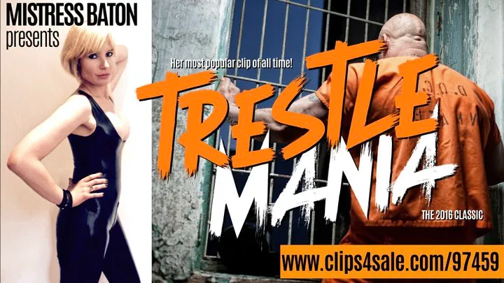 Trestle Mania 2016