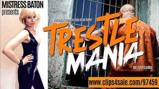 Trestle Mania 2016 REMASTERED