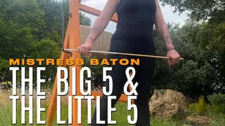 The Big 5 and The Little 5