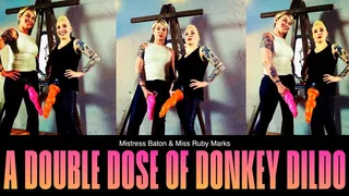 A Double Dose Of Donkey Dildo