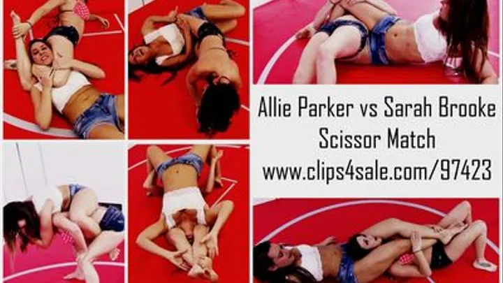 ARM WRESTLING: #allieparker vs "Young and Handsome" Mr. Smith #mixedwrestling