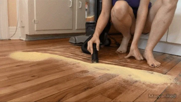 Vacuuming corn meal on kitchen floor and vacuuming my soles