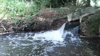 A Walk by the River