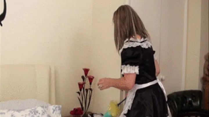 The Naughty Maid