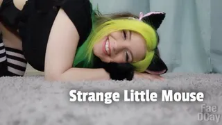 Strange Little Mouse