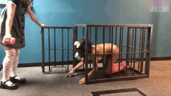 Pupcake and Dakota's Playtime