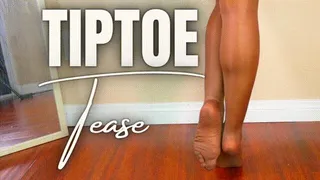 TipToe Tease: SILENT STOCKING SOLES