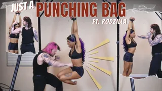 Just A Punching Bag - Muscle Worship Mixed Boxing Beat Down in