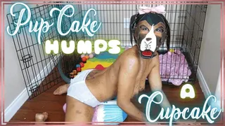 PupCake Humps A Cupcake - PETPLAY PULLUP PILLOW HUMPING IN