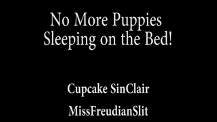 No More Puppies Napping on the Bed!