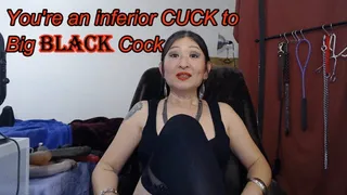 Small White Penis - You're an Inferior Cuck to BBC