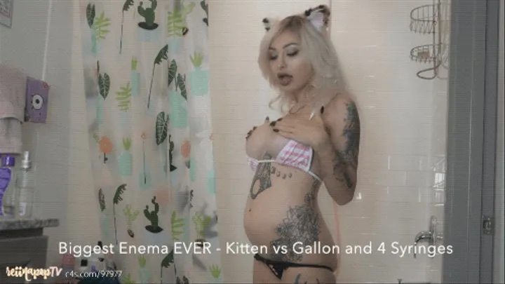 Biggest Enema EVER - Kitten vs Gallon and 4 Syringes