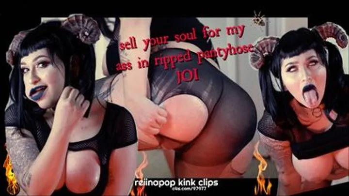 Sell Your Soul for My Ass in Ripped Pantyhose JOI