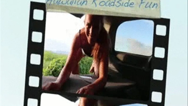 Hawaiian Roadside Fun