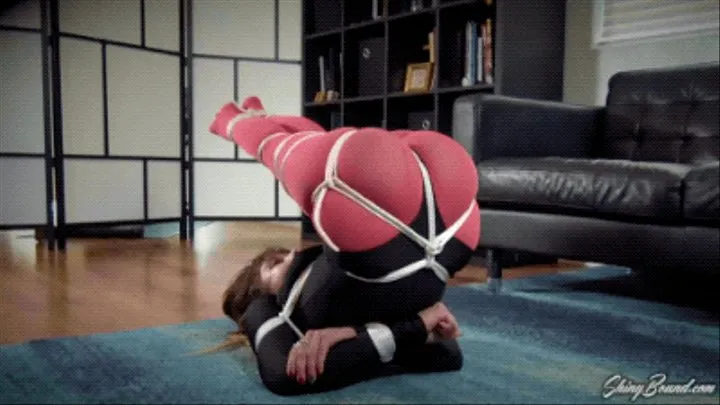 Gypsy Bae- Hogtied In Her Leotard SD