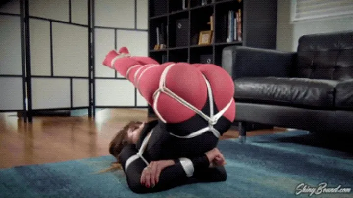 Gypsy Bae- Hogtied In Her Leotard