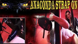 ANACONDA STRAP-ON