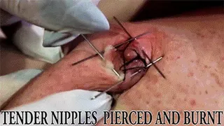 TENDER NIPPLES PIERCED AND BURNT