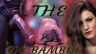 THE BIG BAMBOO