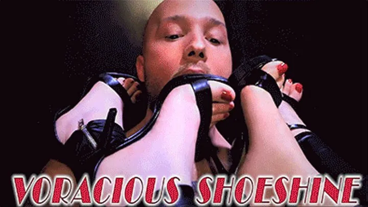 VORACIOUS SHOESHINE