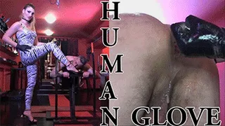HUMAN GLOVE