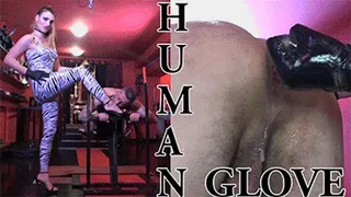 HUMAN GLOVE