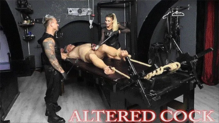 ALTERED COCK