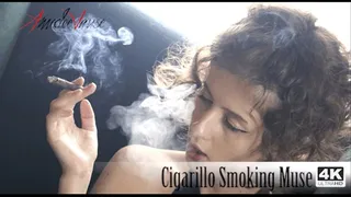 Cigarillo Smoking Muse (SD, ) - Cigarillo Smoking Fetish Show!