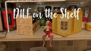 DILF on the Shelf Hates You - Richard Lennox - Manpuppy