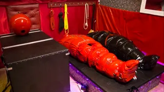 1 mistress, 4 slaves in a room full of rubber