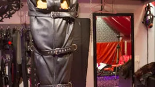 RubberGirl suspended in a leather bodybag