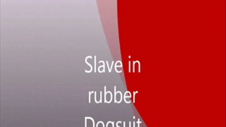 The Rubber Dogsuit