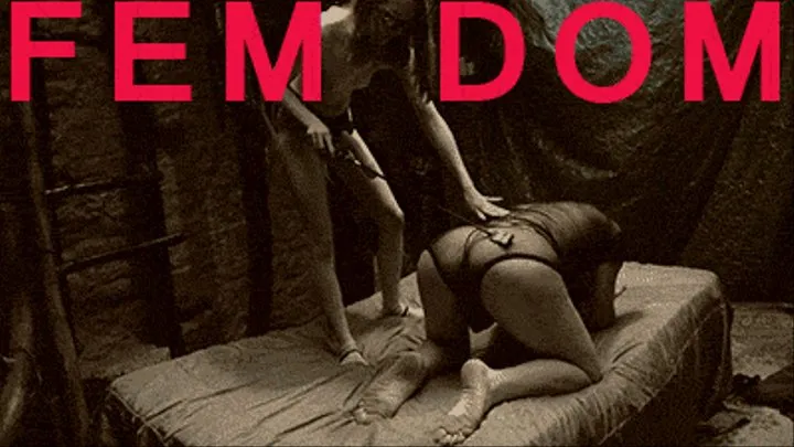 Fem Dom - Bitch Boy Cropped