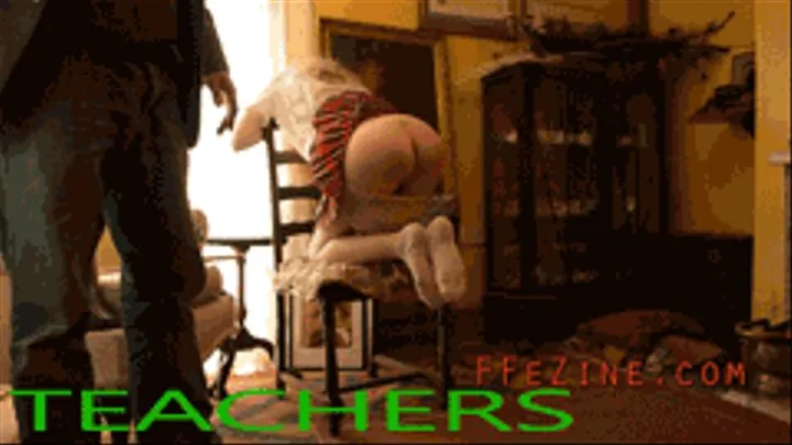 Teachers Teach the Student Sex