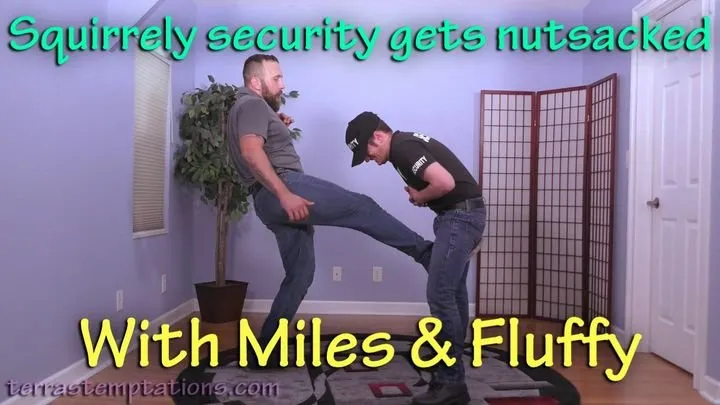 Squirrely security gets nutsacked - Miles Striker & Fluffy