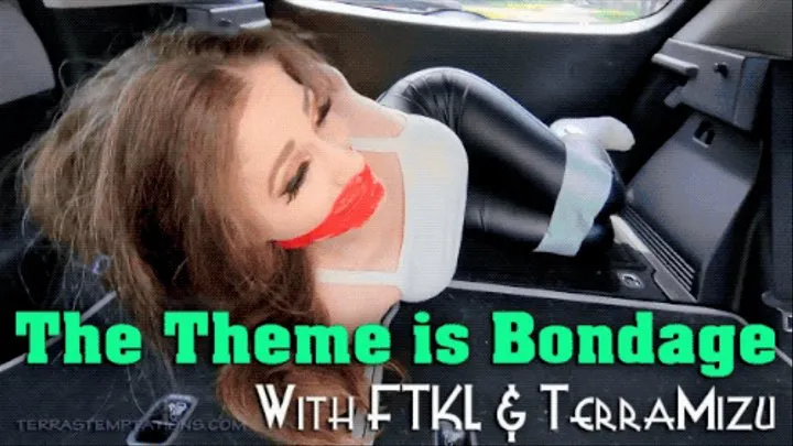 The Theme is Bondage - FTKL & TerraMizu