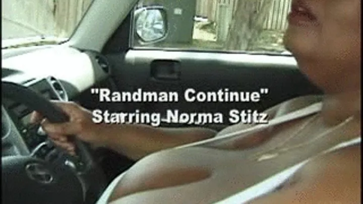 RANDMAN CONTINUES